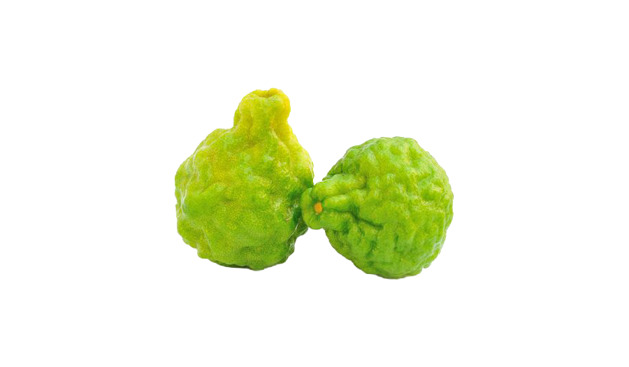 Two bright green bergamot oranges with bumpy, irregular surfaces